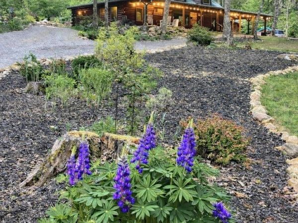 480 Holder Cemetery Rd, Tellico Plains, TN 37385
