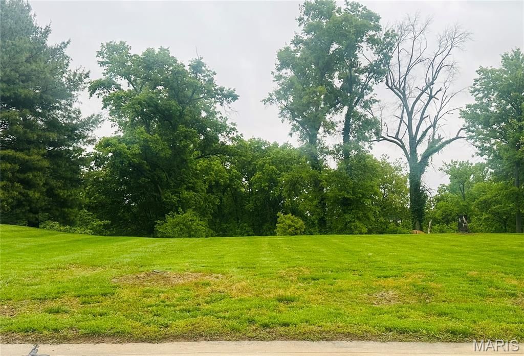 Lot 33 Fox View Drive, Edwardsville, IL 62025 Main Photo