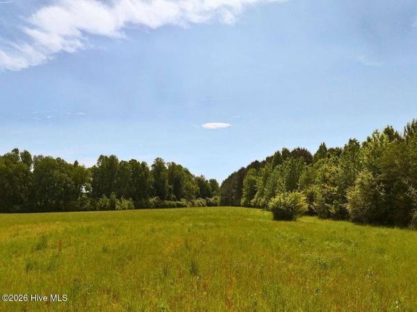 0 Old Chinquapin Road, Beulaville, NC 28518