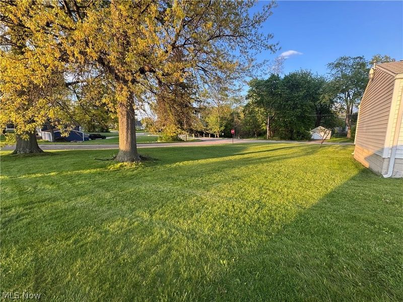 449 Creed Street , Struthers, OH 44471 Photo 3