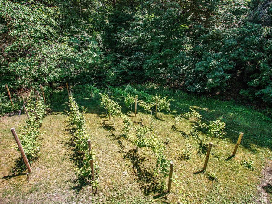 Property Image 53