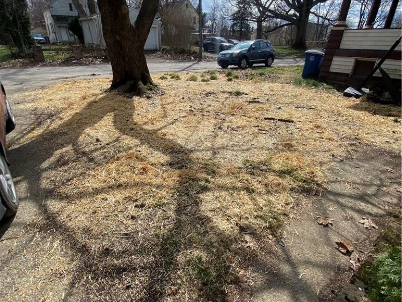 7131 Park Avenue, Cleveland, OH 44105 Photo 26