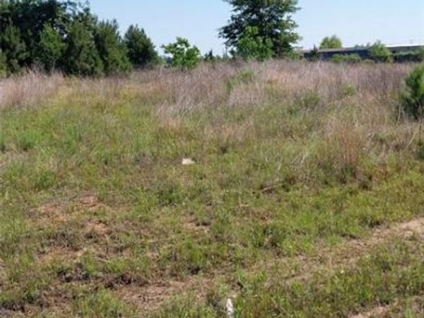 1715 Road 5729 , Cleveland, TX 77327
