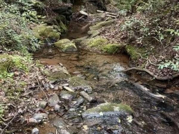 9180 Oliver Mill Road, Lula, GA 30554