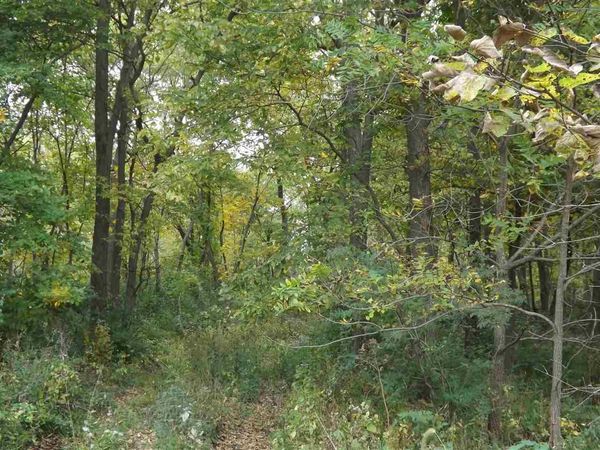 RR G Avenue, North English, IA 52316