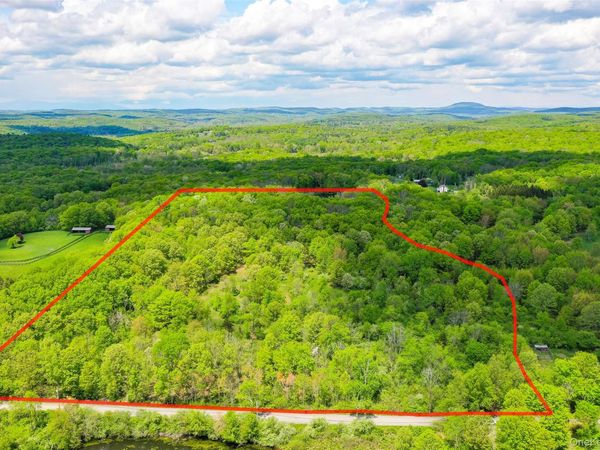 Parcel 1 - TBD Woodstock Road , Millbrook, NY 12545