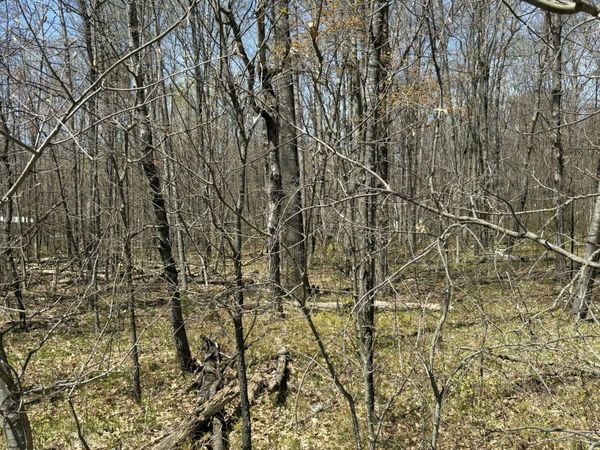V/L Shadowbrook Drive, Lake, MI 48632