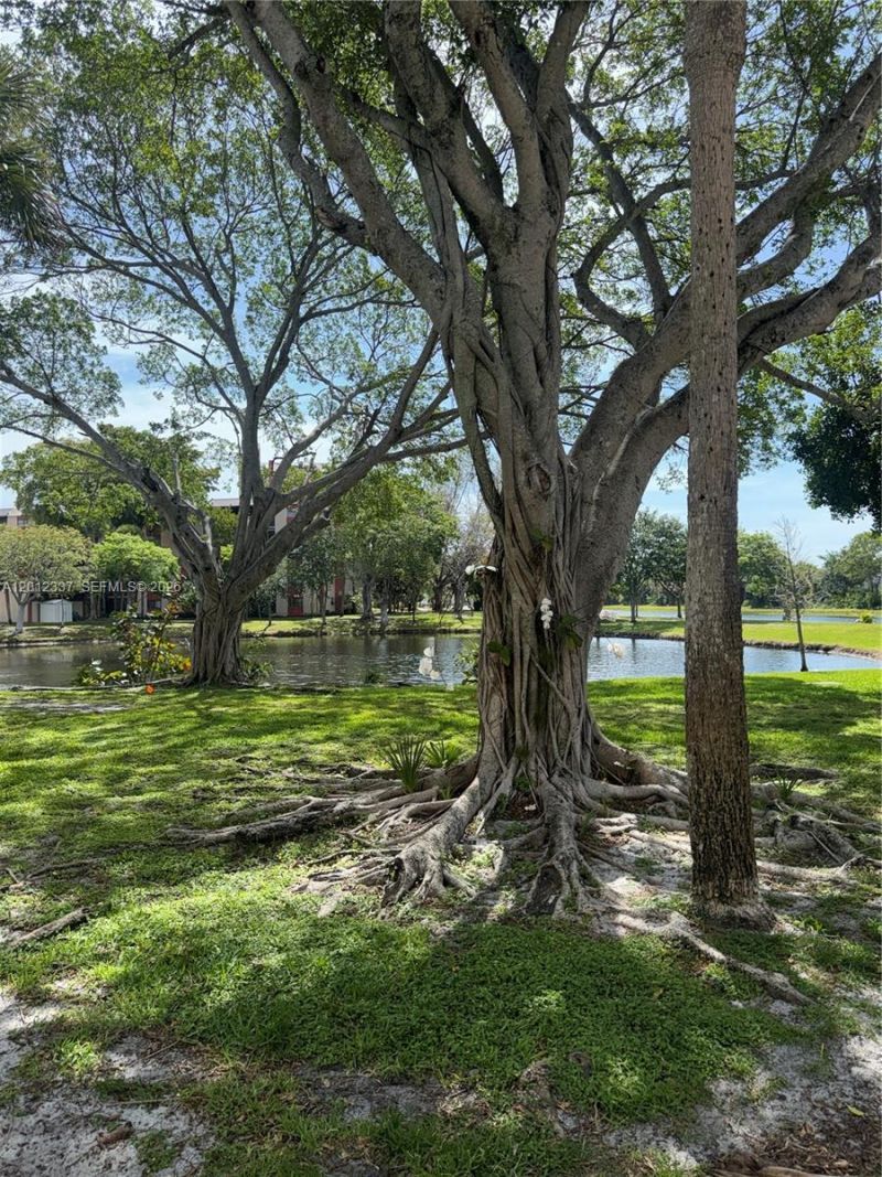 2312 S Cypress Bend Dr , Unit 107, Pompano Beach, FL 33069 Photo