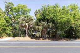 1205 Jungle Road photo 4