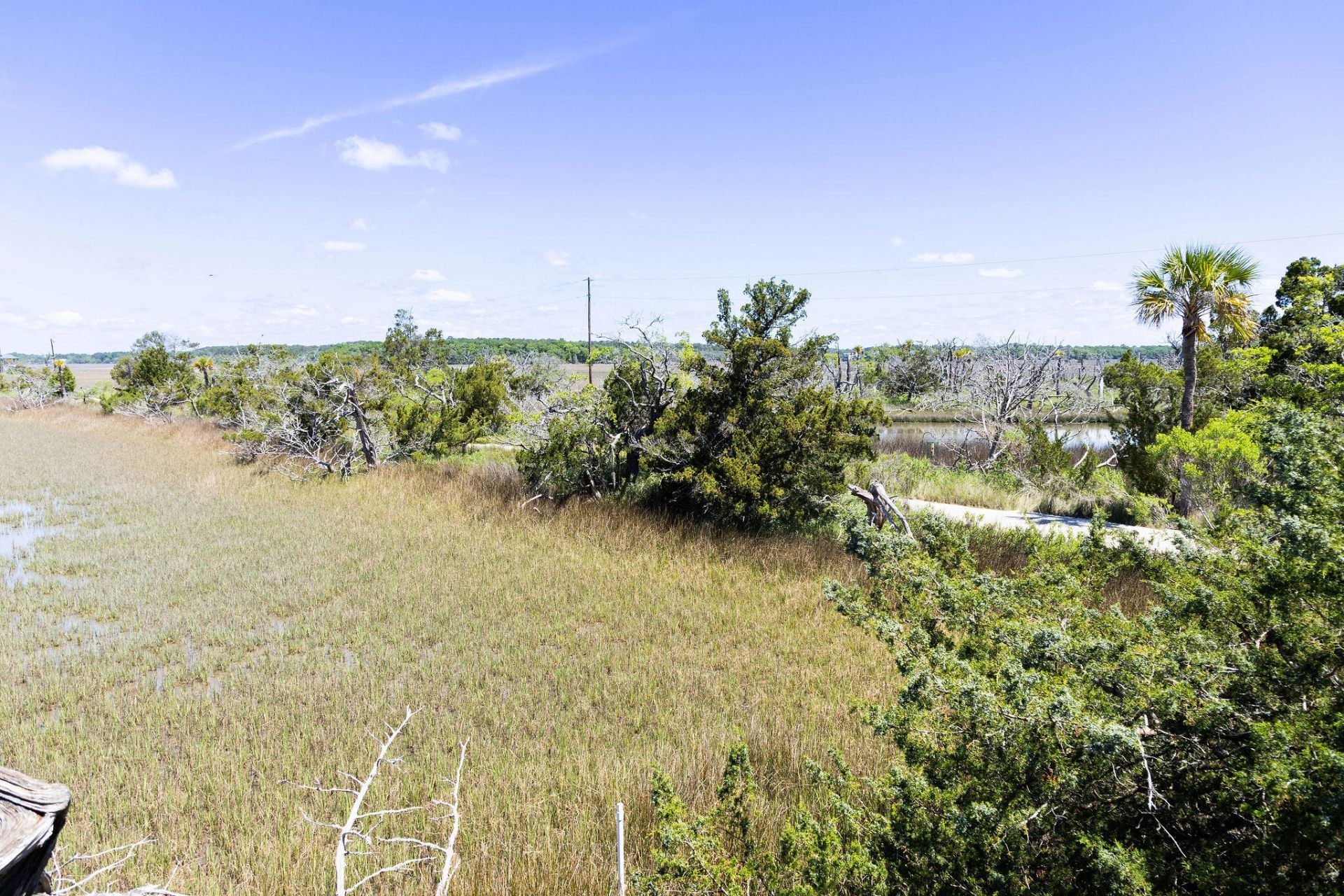 1205 Jungle Road Photo 63