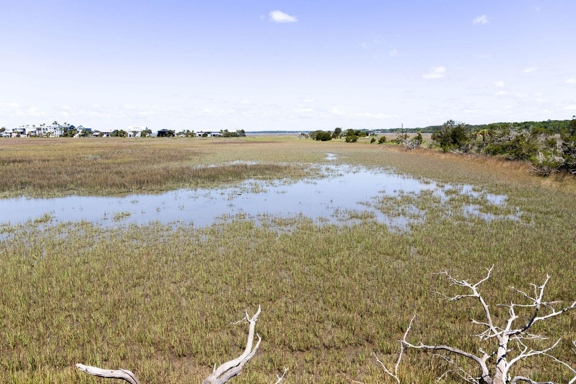 1205 Jungle Road Photo 74