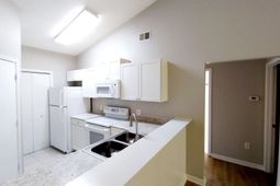 3693 Clay Pond Village Ln. photo 4