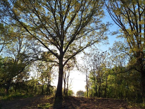 0 Bone Cave Rd , Rock Island, TN 38581