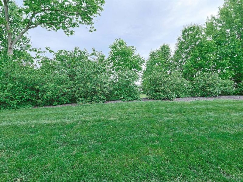 7183 Shady Brook, Liberty Township, OH 45044 Photo 39