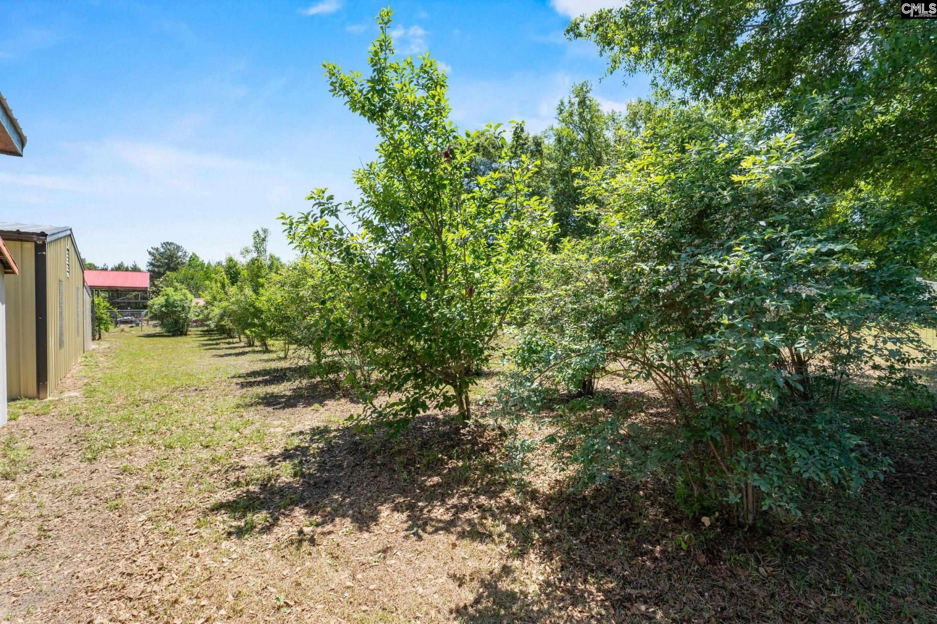 1633 Shilling Bridge Road  Photo 28