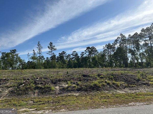 170 Julie Drive, Vidalia, GA 30474