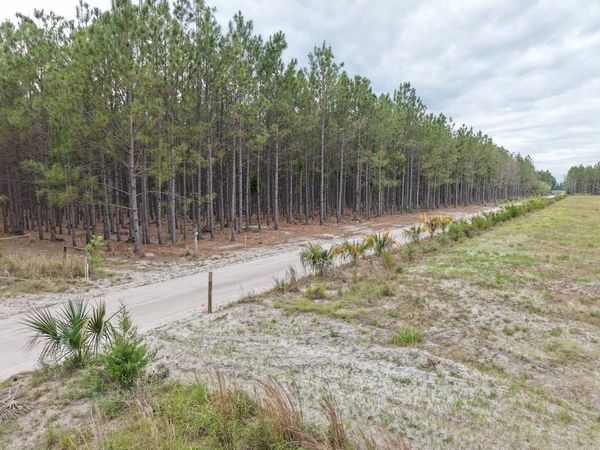 TBD SE Pearl Fletcher Rd, Branford, FL 32008