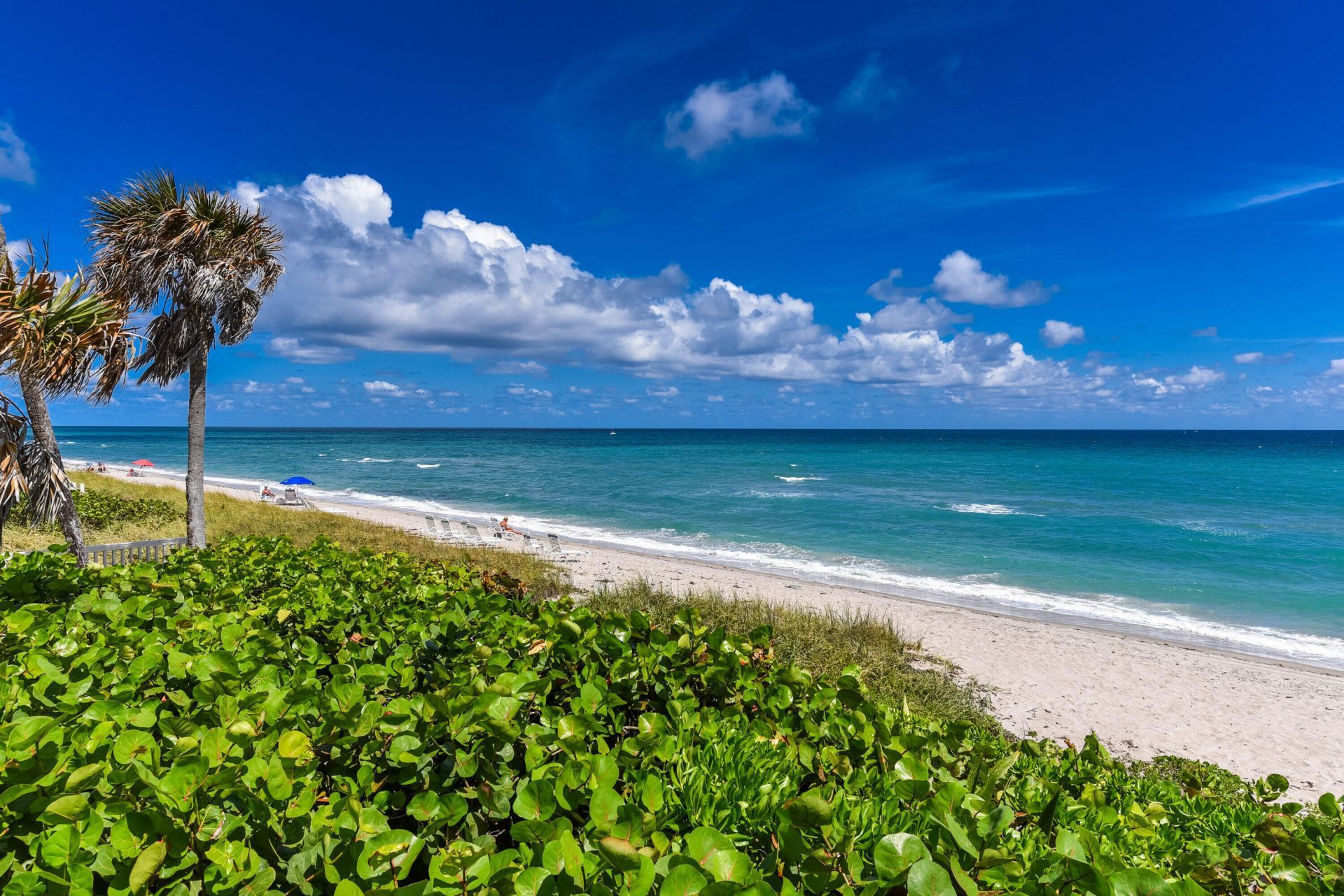 6548 Patio Lane, Boca Raton, FL 33433 Photo