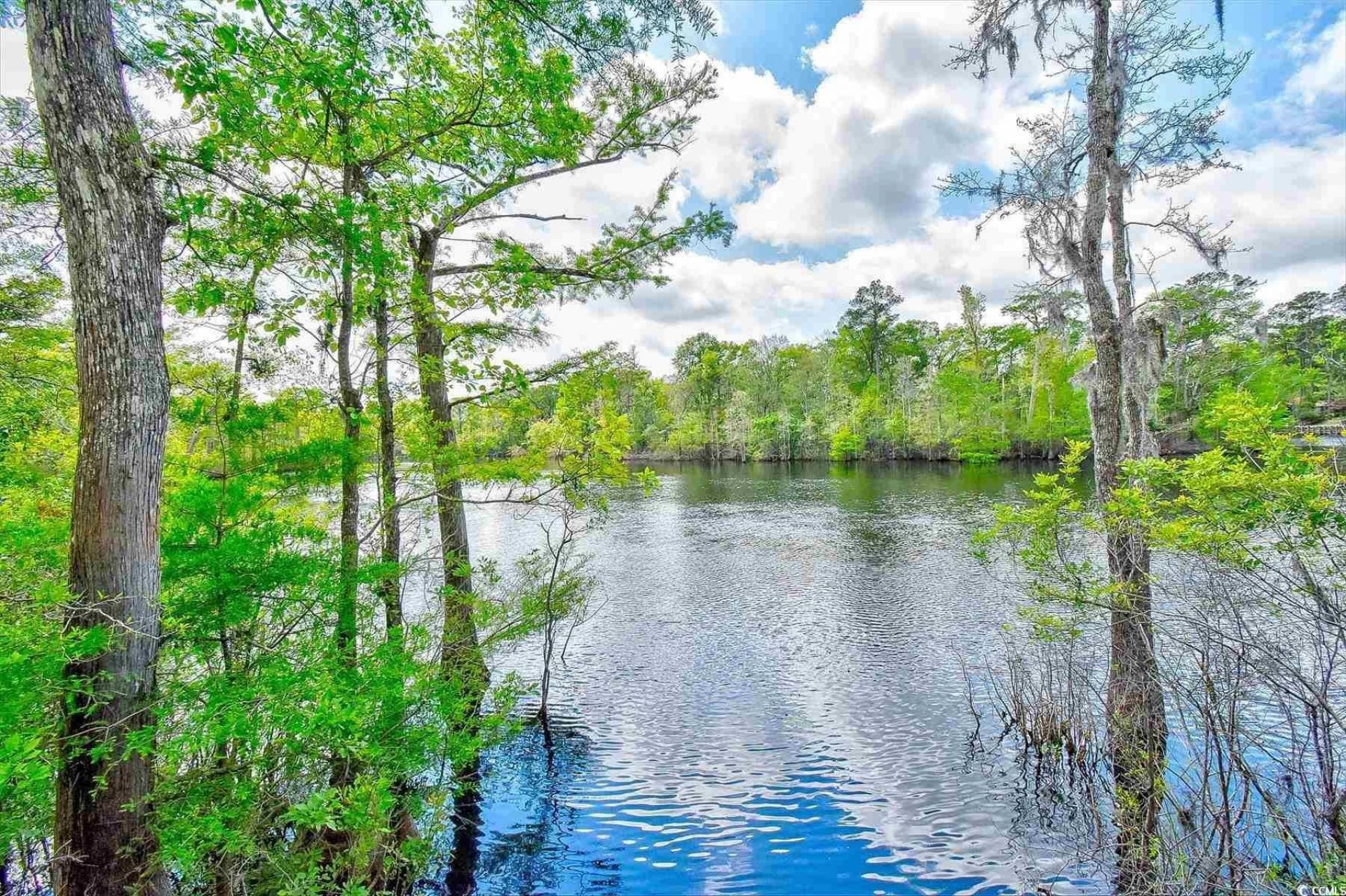 262 Oak Landing Dr.  Photo 41