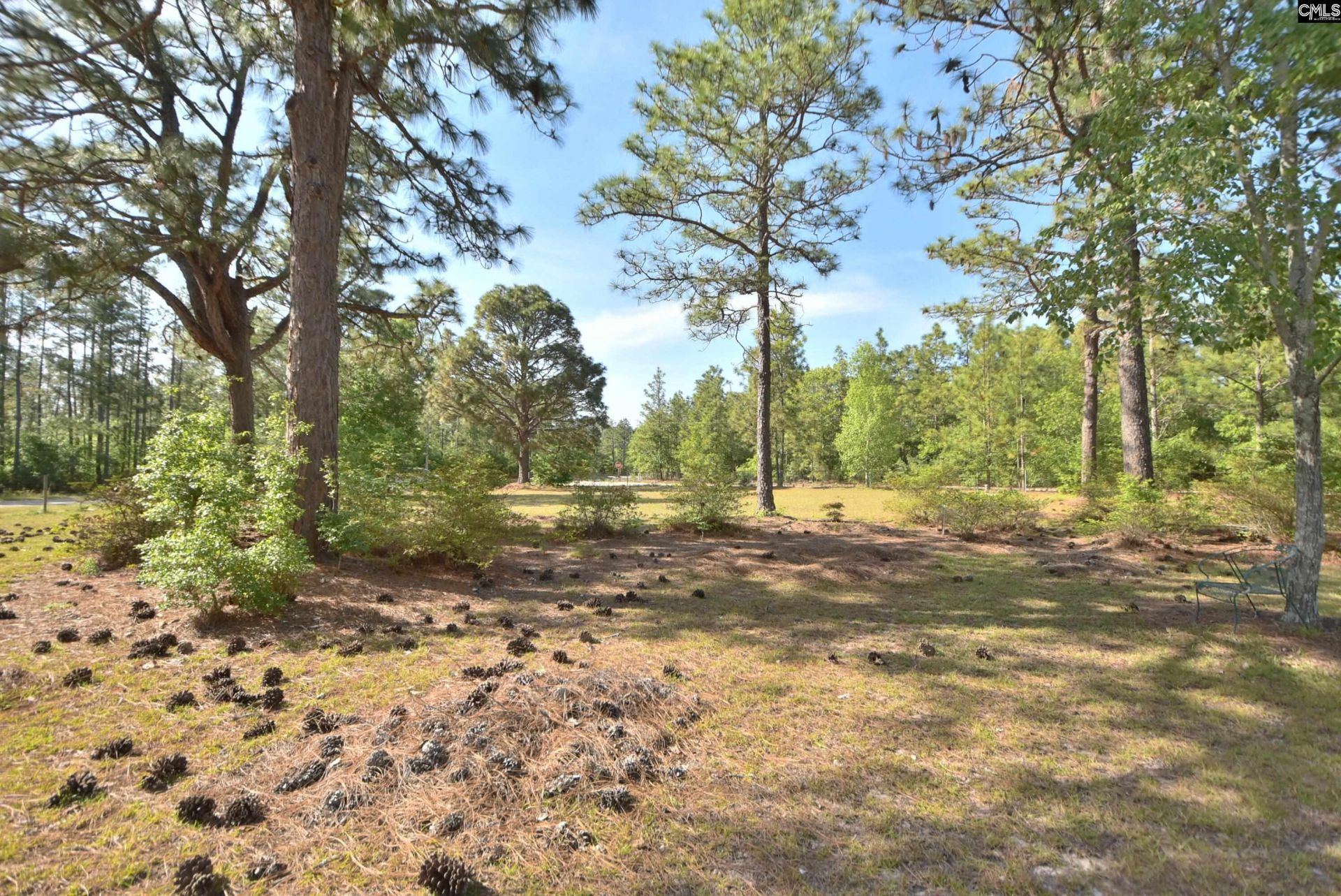 518 Pat Roads  Photo 7