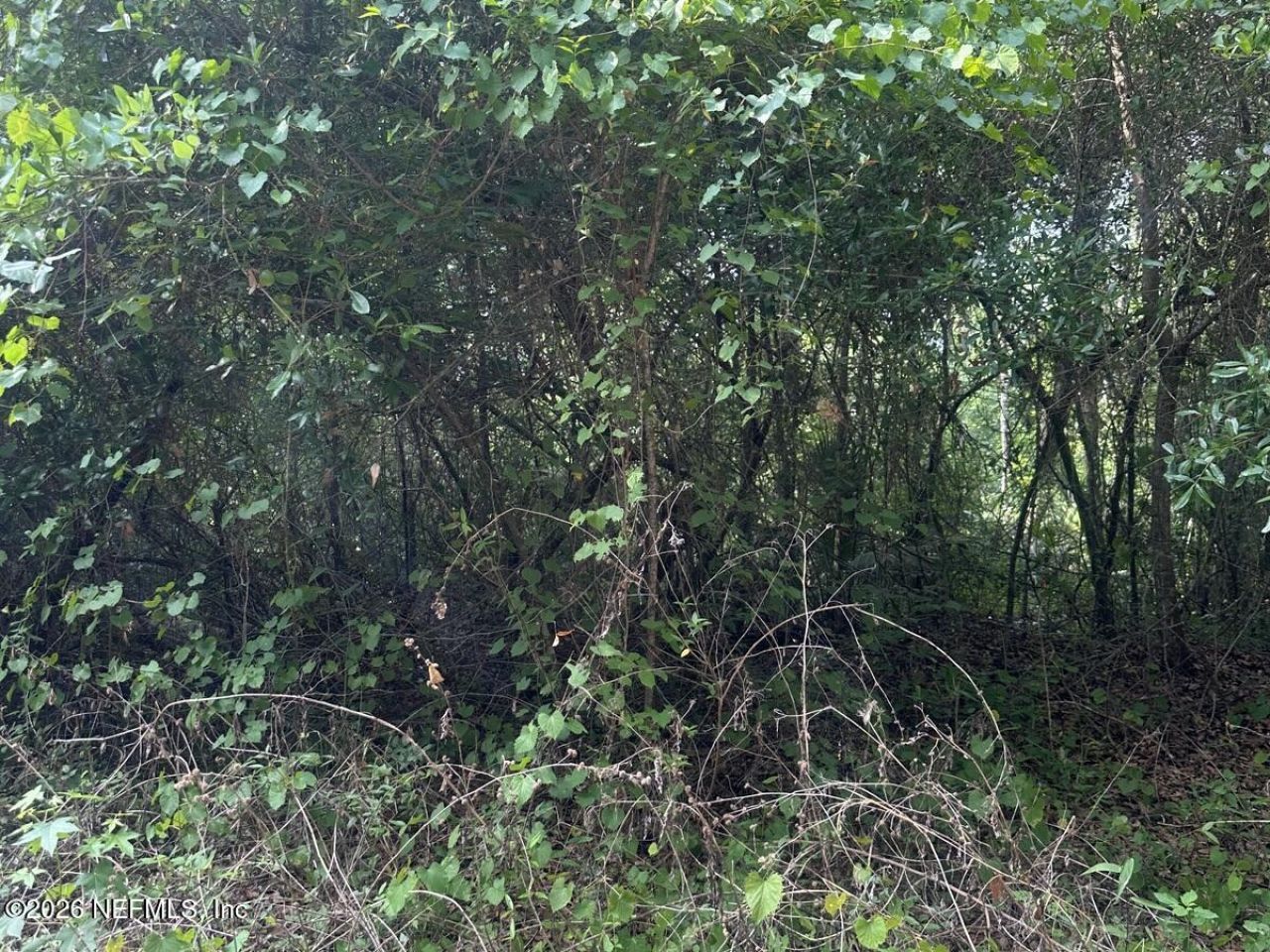108 Ridgeline Avenue, Satsuma, FL 32189 Photo