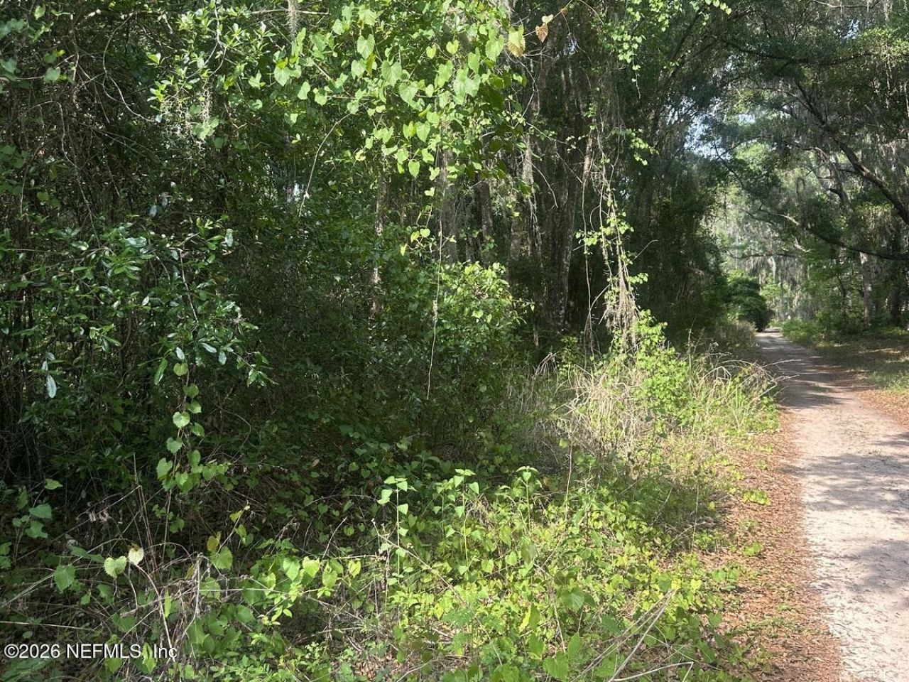 108 Ridgeline Avenue, Satsuma, FL 32189 Photo