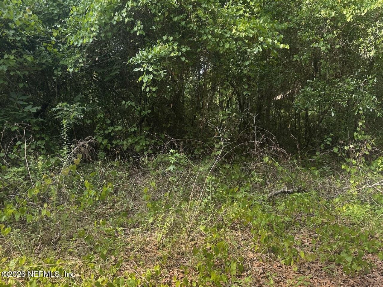 108 Ridgeline Avenue, Satsuma, FL 32189 Photo