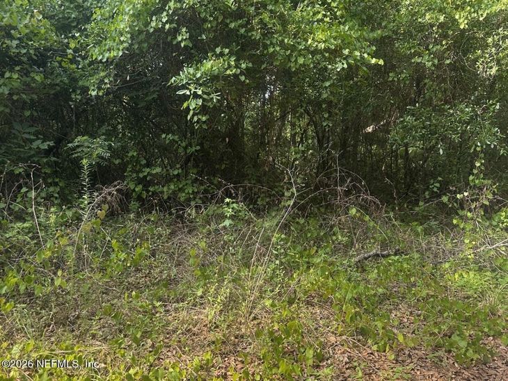 108 Ridgeline Avenue, Satsuma, FL 32189
