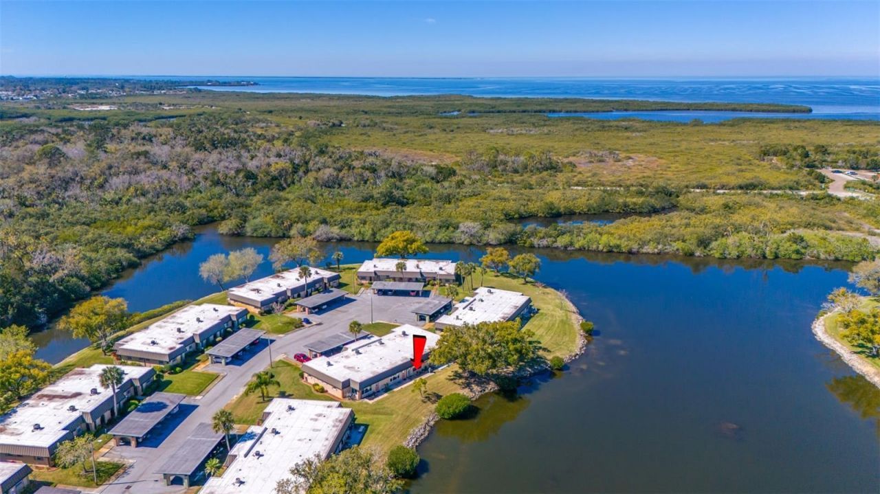 4127 Hampton Dr , Unit 4127, New Port Richey, FL 34652 Photo