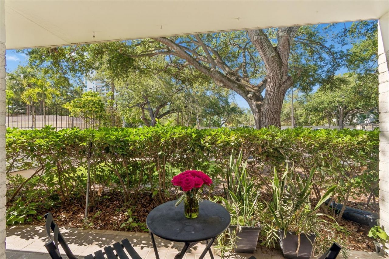 3325 Bayshore Boulevard, Unit D14 a, Tampa, FL 33629 Photo