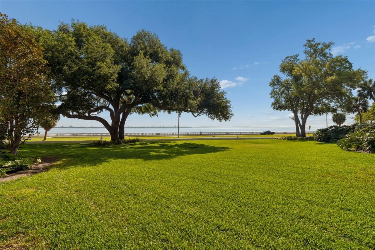 3325 Bayshore Boulevard, Unit D14 a, Tampa, FL 33629 Photo