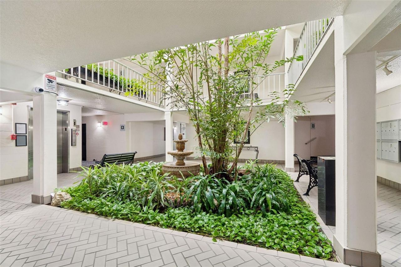 3325 Bayshore Boulevard, Unit D14 a, Tampa, FL 33629 Photo