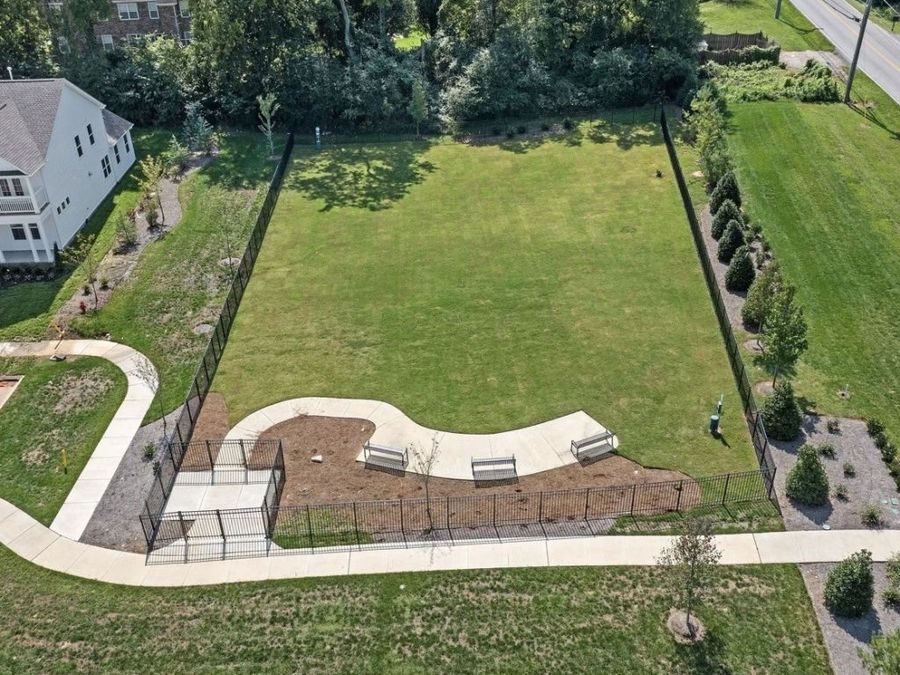 Property Image 54