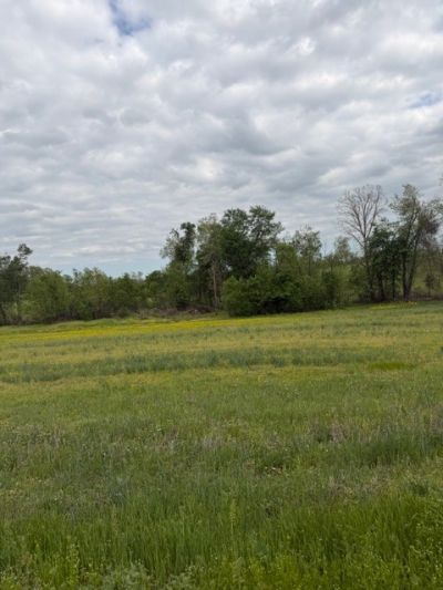7770 Akersville Rd, Lafayette, TN 37083 Main Photo