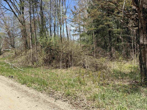 11310 Rosebush Road W, Weidman, MI 48893