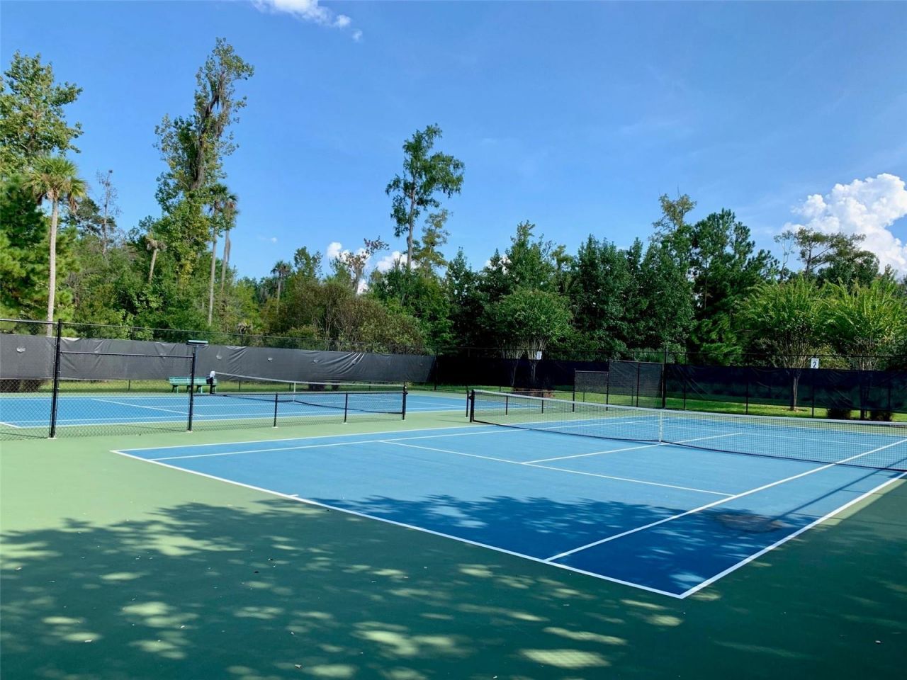 687 Shadowmoss Circle, Lake Mary, FL 32746 Photo
