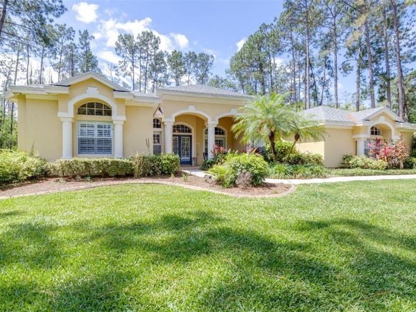 313 PINE BLUFF DRIVE , LUTZ, FL 33549
