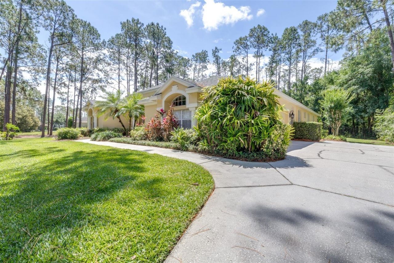 313 Pine Bluff Drive, Lutz, FL 33549 Photo