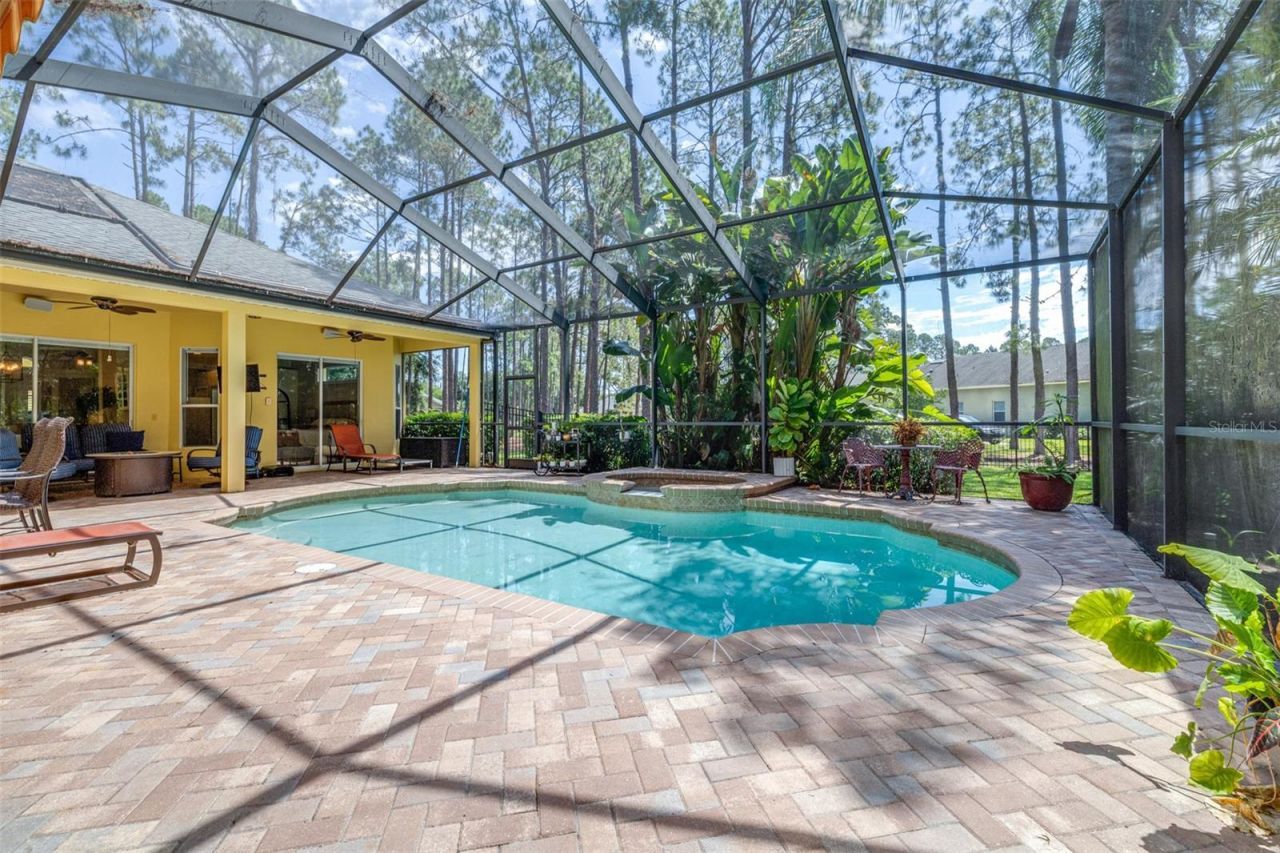 313 Pine Bluff Drive, Lutz, FL 33549 Photo
