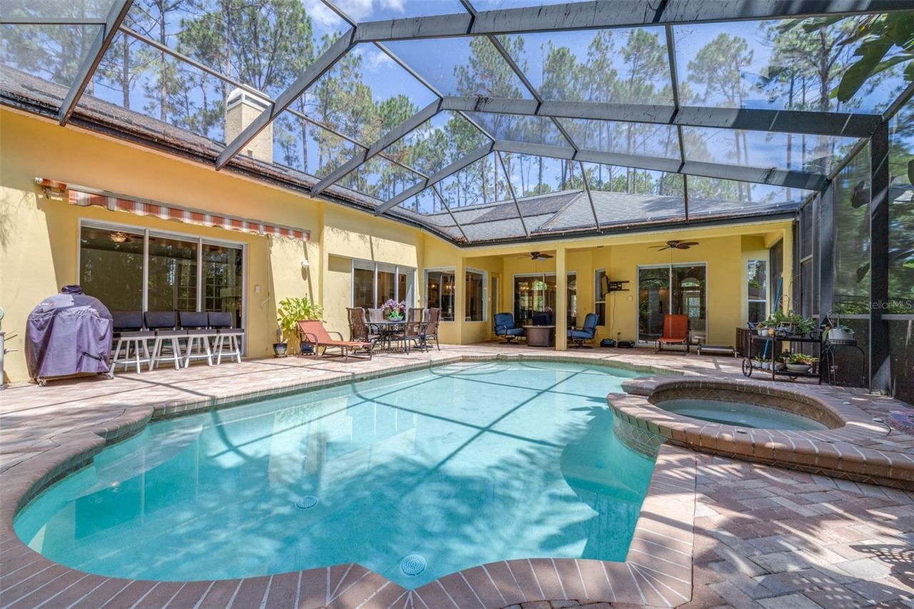 313 Pine Bluff Drive, Lutz, FL 33549 Photo