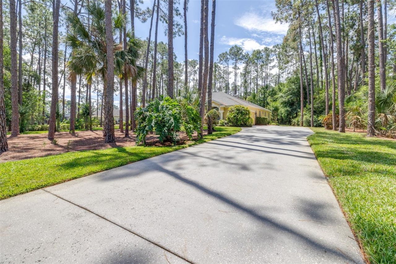 313 Pine Bluff Drive, Lutz, FL 33549 Photo