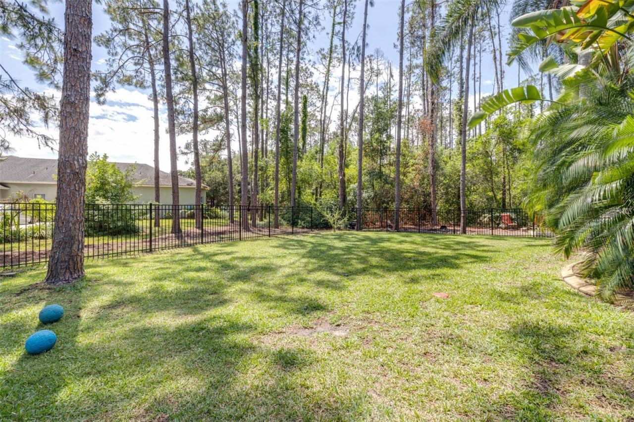 313 Pine Bluff Drive, Lutz, FL 33549 Photo