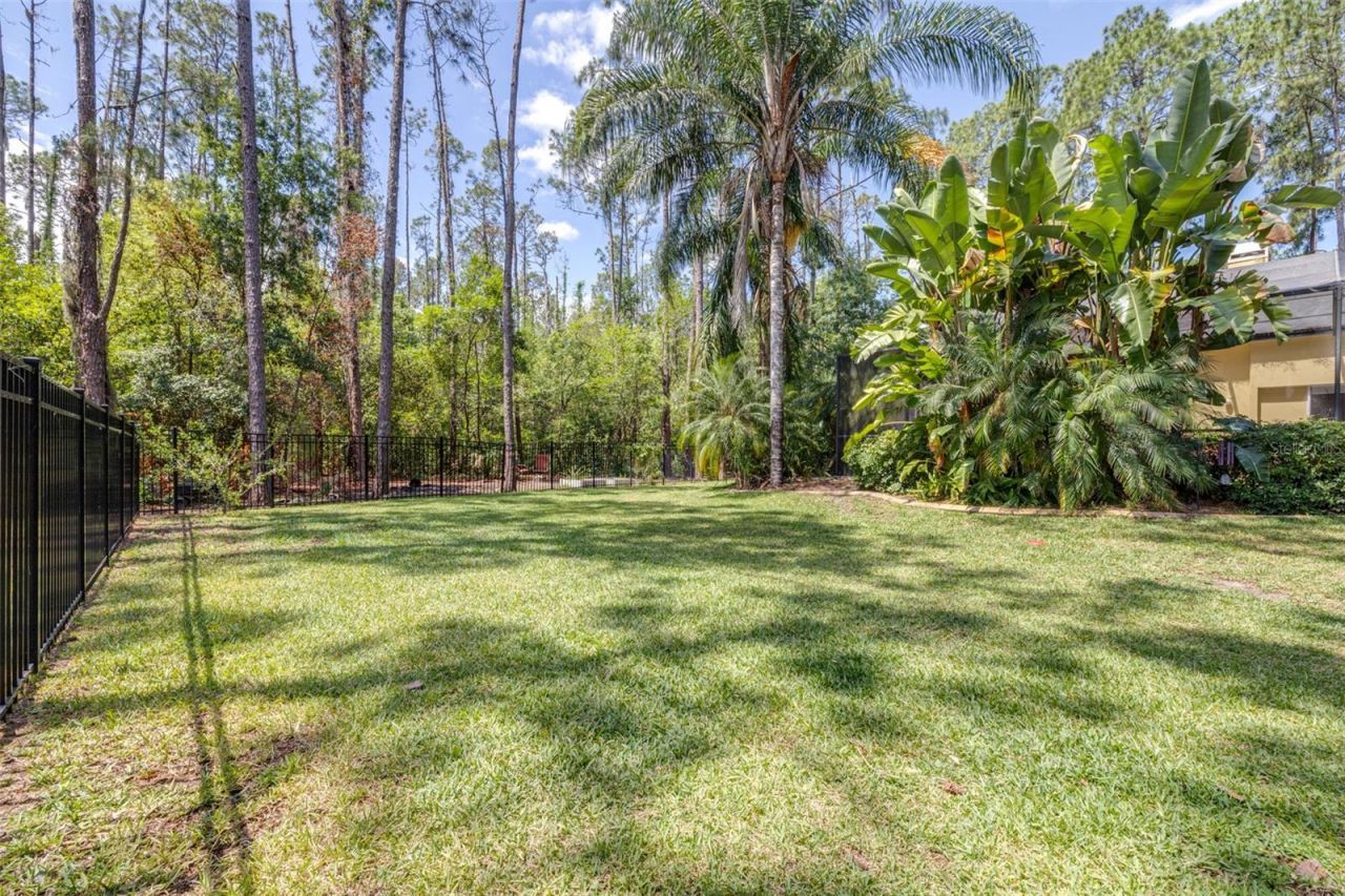 313 Pine Bluff Drive, Lutz, FL 33549 Photo