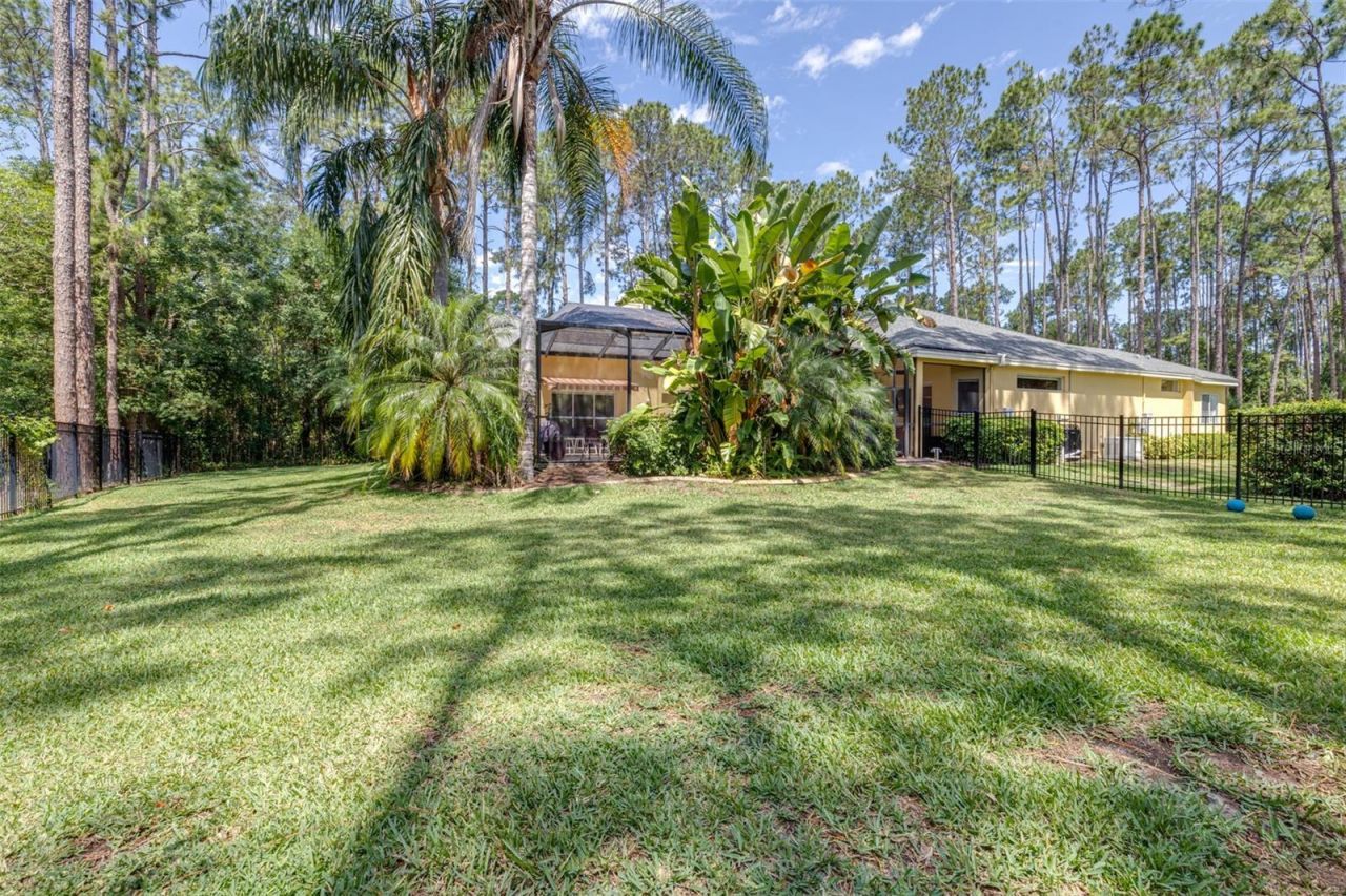 313 Pine Bluff Drive, Lutz, FL 33549 Photo