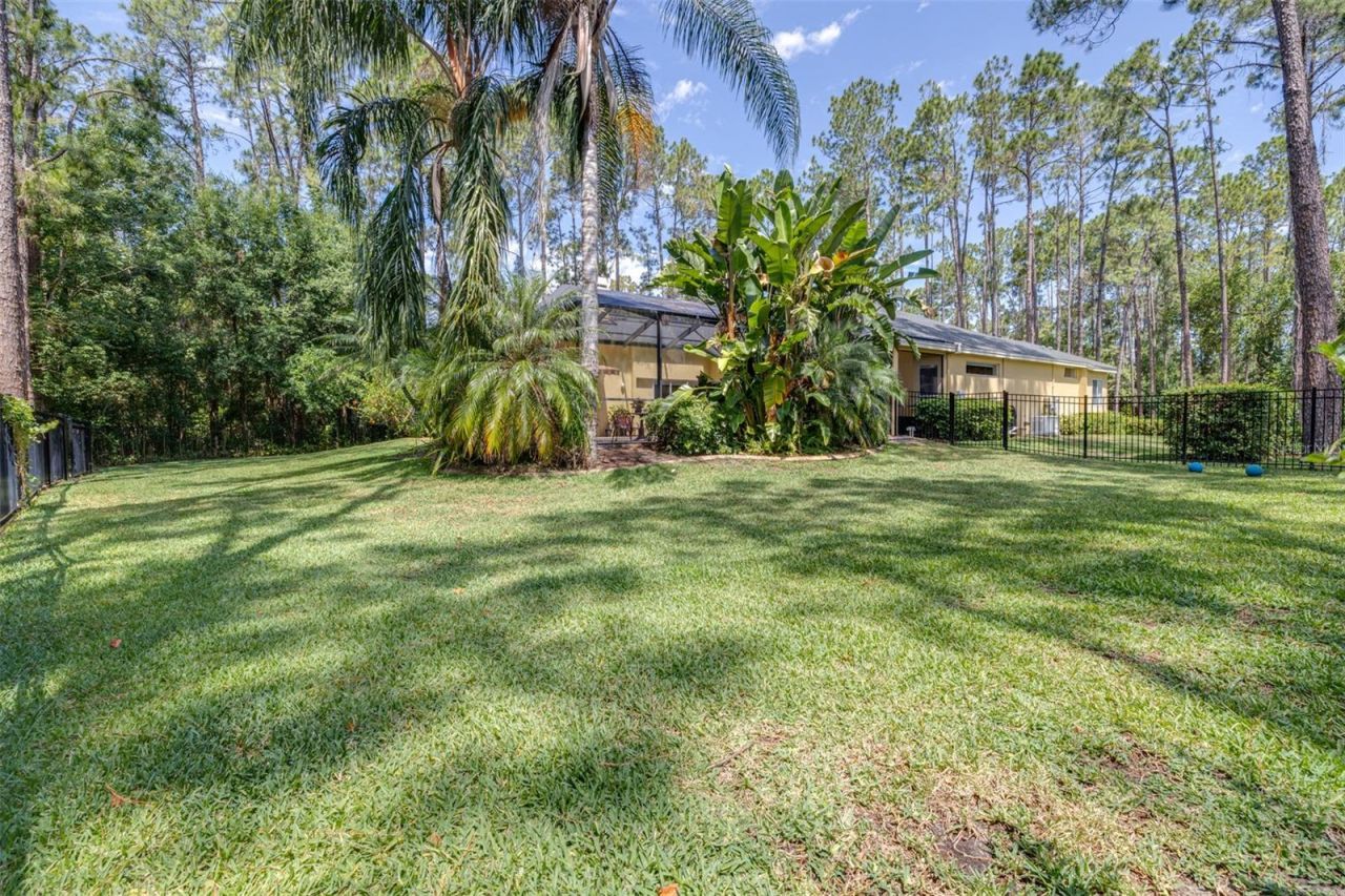 313 Pine Bluff Drive, Lutz, FL 33549 Photo