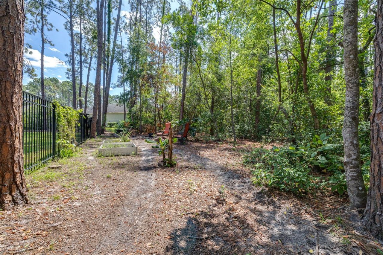 313 Pine Bluff Drive, Lutz, FL 33549 Photo