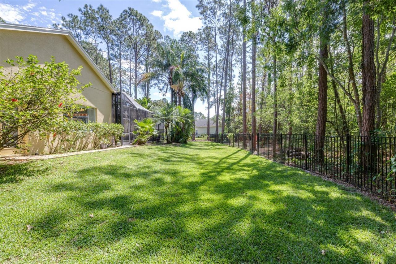 313 Pine Bluff Drive, Lutz, FL 33549 Photo