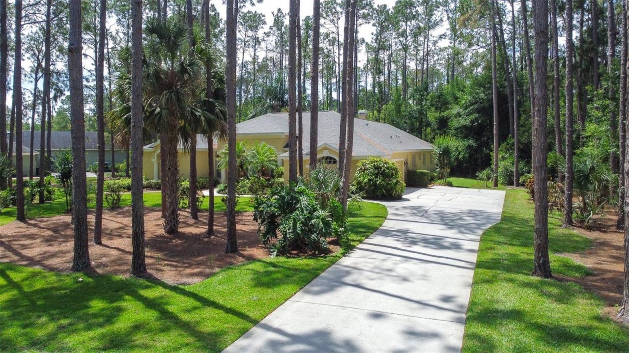 313 Pine Bluff Drive, Lutz, FL 33549 Photo