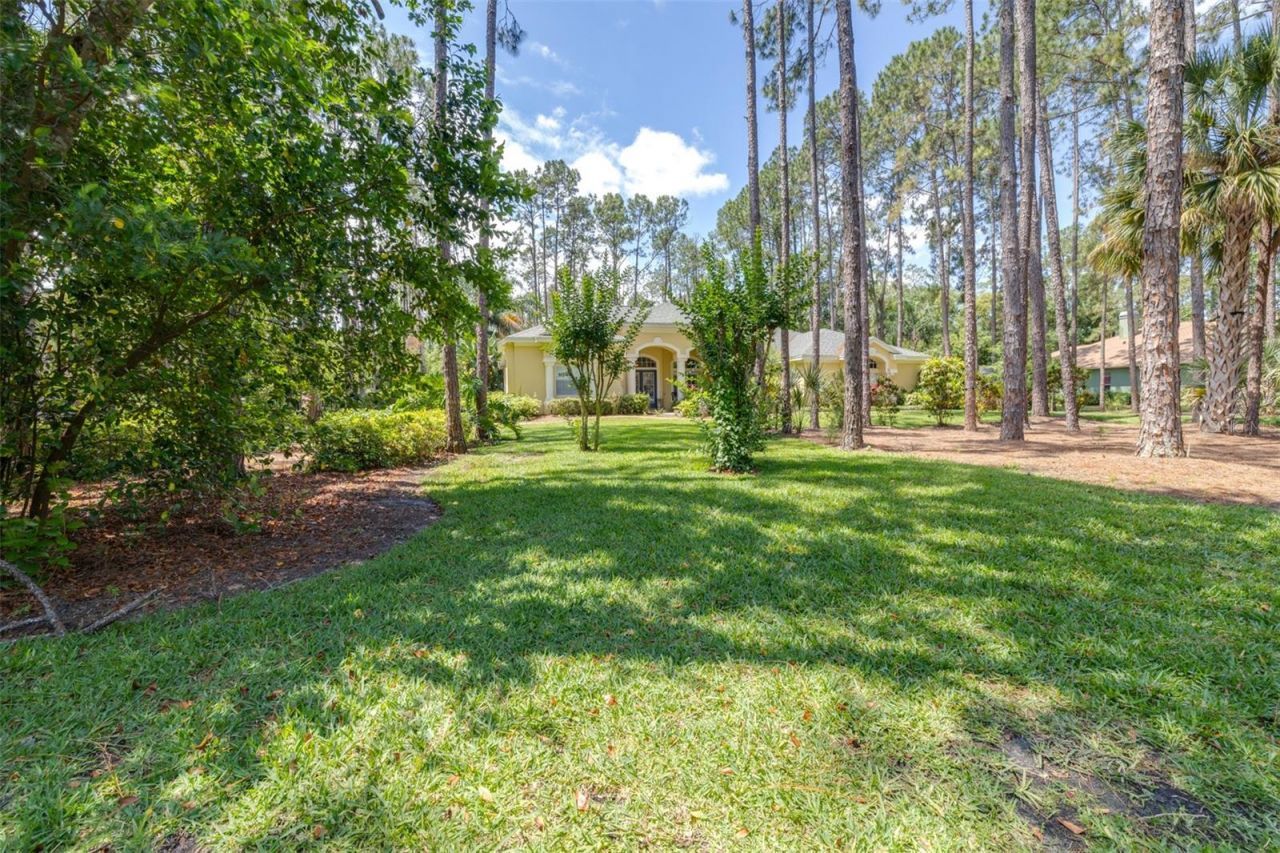 313 Pine Bluff Drive, Lutz, FL 33549 Photo