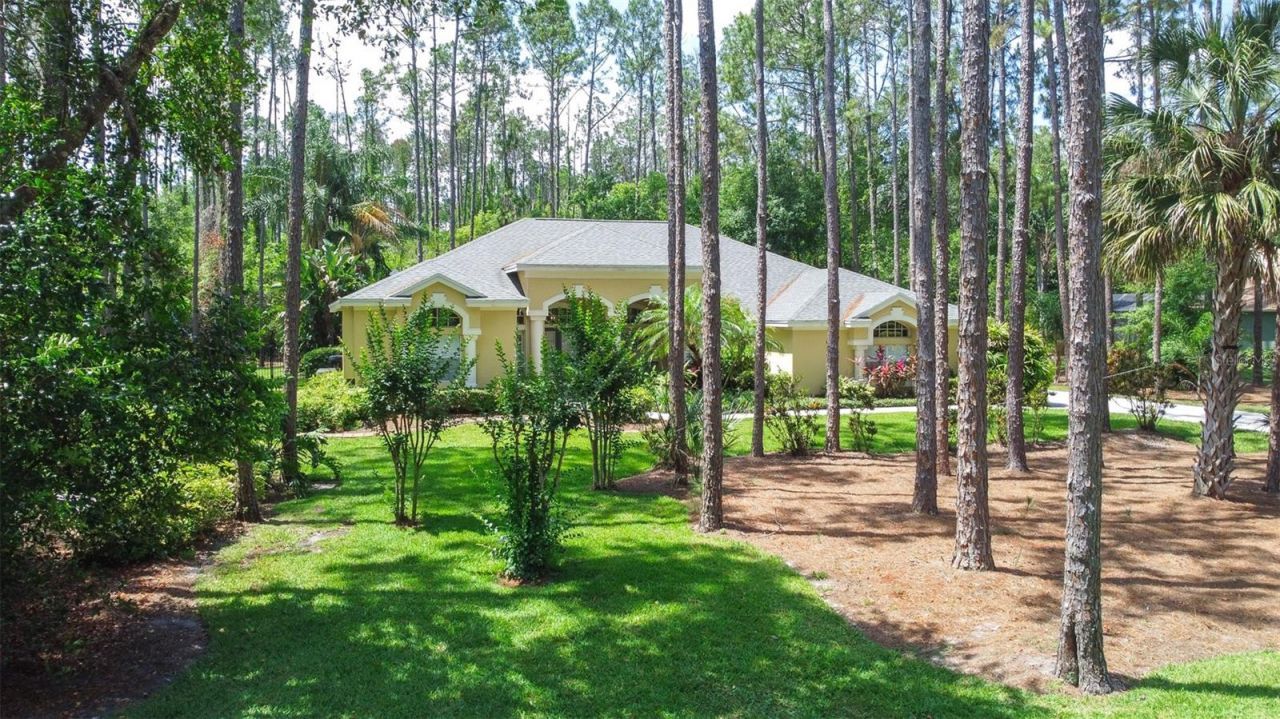 313 Pine Bluff Drive, Lutz, FL 33549 Photo